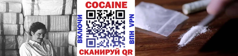 COCAIN Fish Scale  кракен зеркало  Лыткарино  купить закладку 
