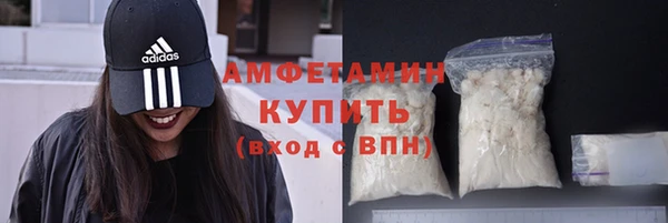 прущие грибы Баксан