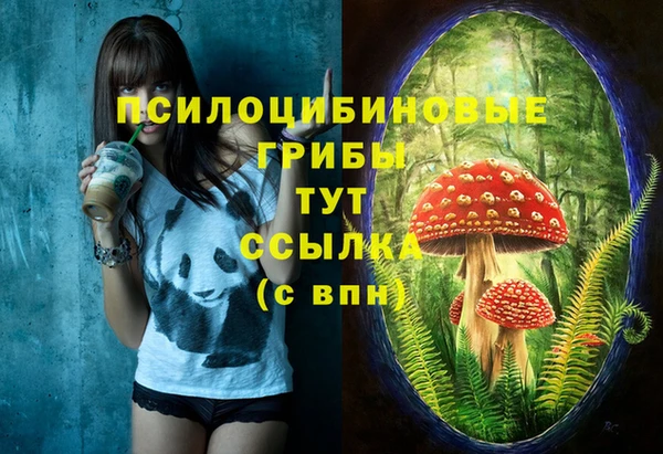 прущие грибы Баксан