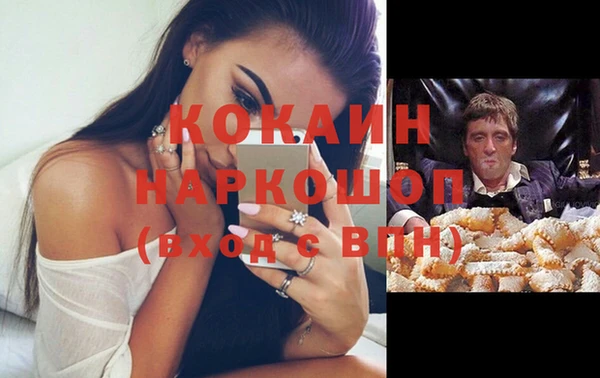 прущие грибы Баксан
