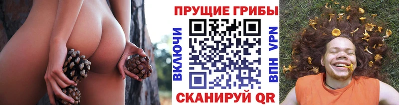 Галлюциногенные грибы прущие грибы  купить закладку  ОМГ ОМГ зеркало  Лыткарино 
